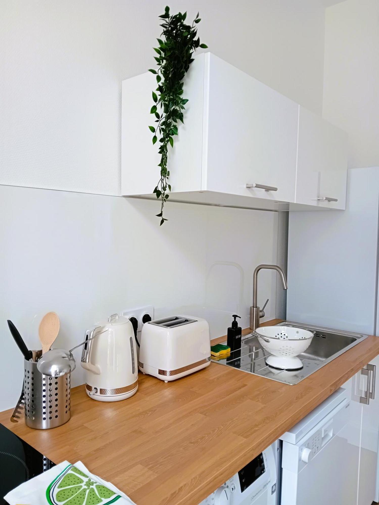 102 - Appart Renove Avec Grand Salon Et 1 Chambre - Tram Et Clinique Mutualiste A 1 Min 格勒诺布尔 外观 照片